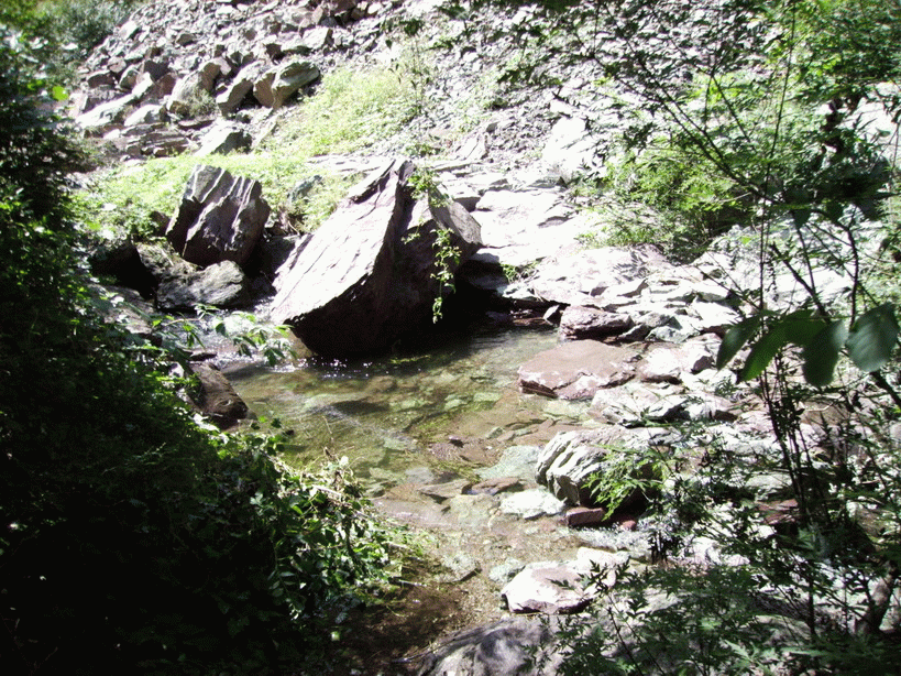72005829111528.gif