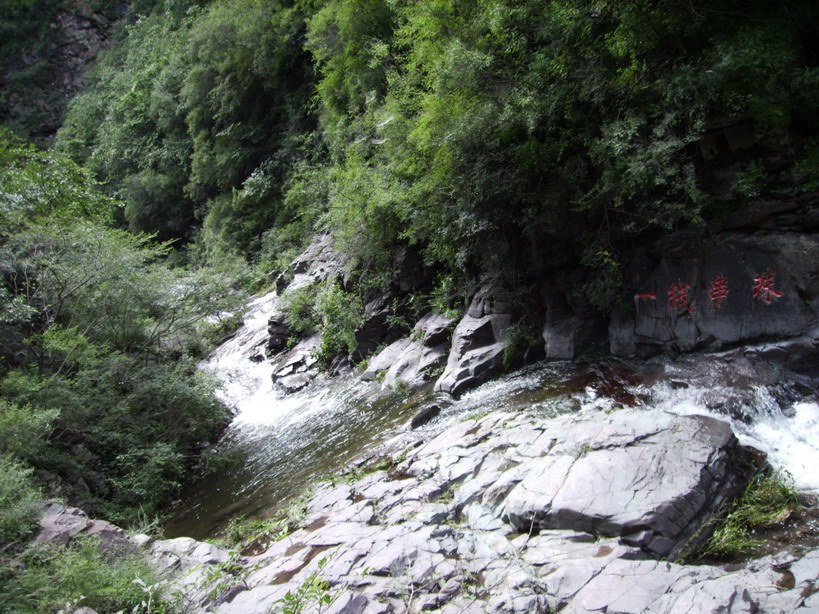 92005829132445.JPG