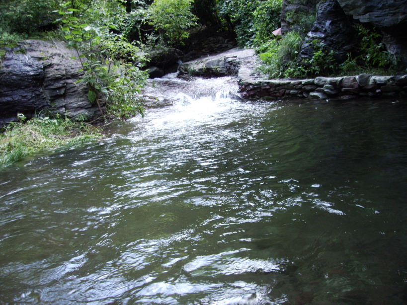 f20058291217.JPG