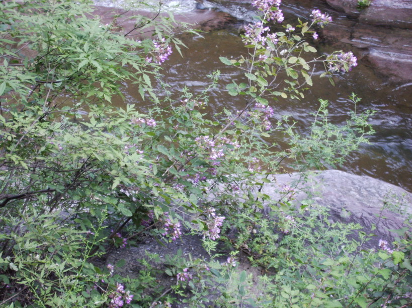 h200582913525.JPG