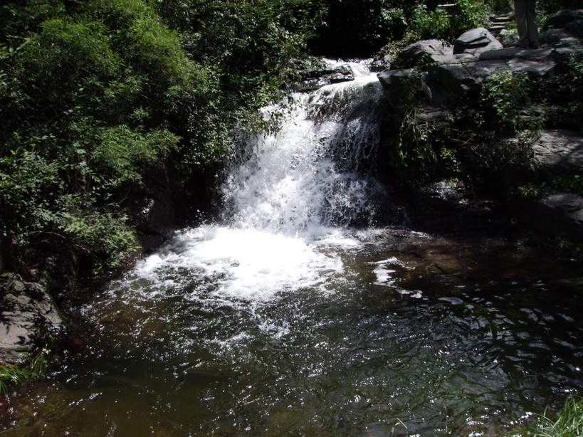 i2005829111941.JPG