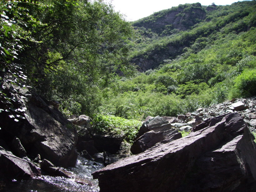 y200582911171.JPG